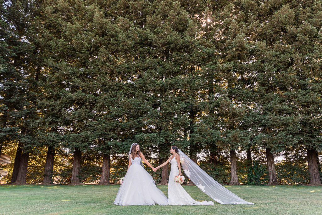 brides walking in front of a row of trees