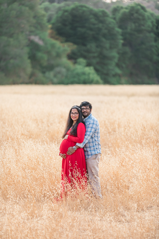 maternity photos in a golden field of grass