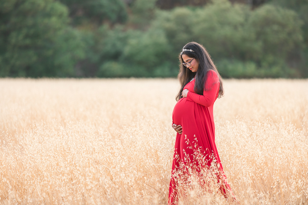 Maternity shoot in a golden field of grass