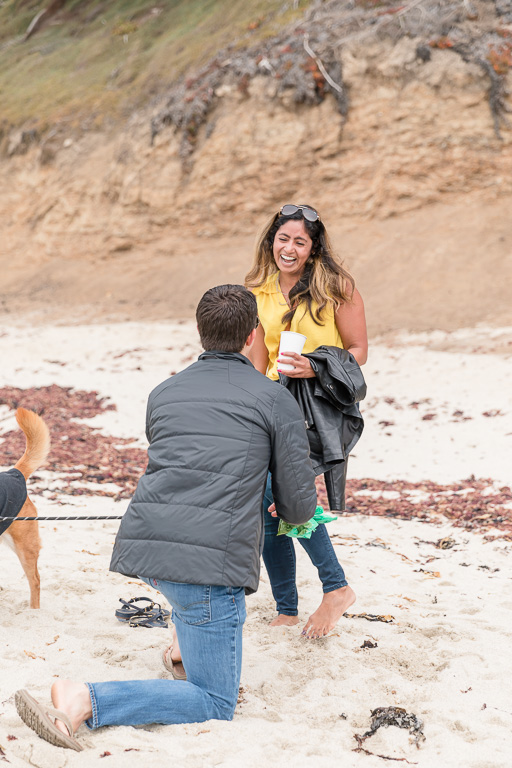 surprise proposal at Moss Beach with dog