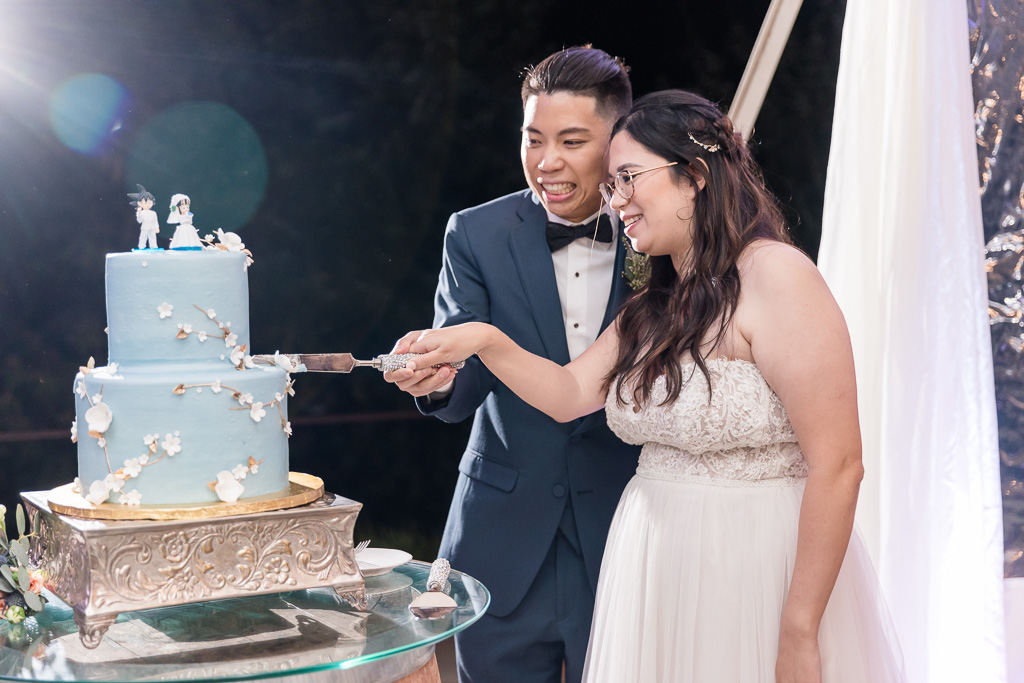cake cutting during wedding reception