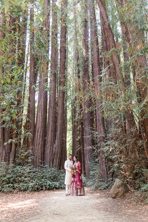 Indian wedding portrait under giant redwood trees