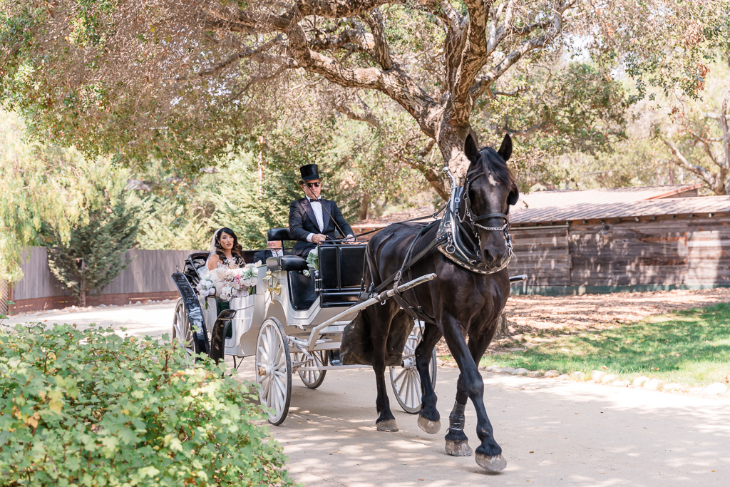 bride and father's entrance in the horse and carriage