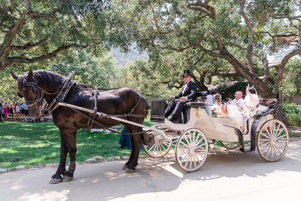 newlyweds leaving ceremony in horse and carriage