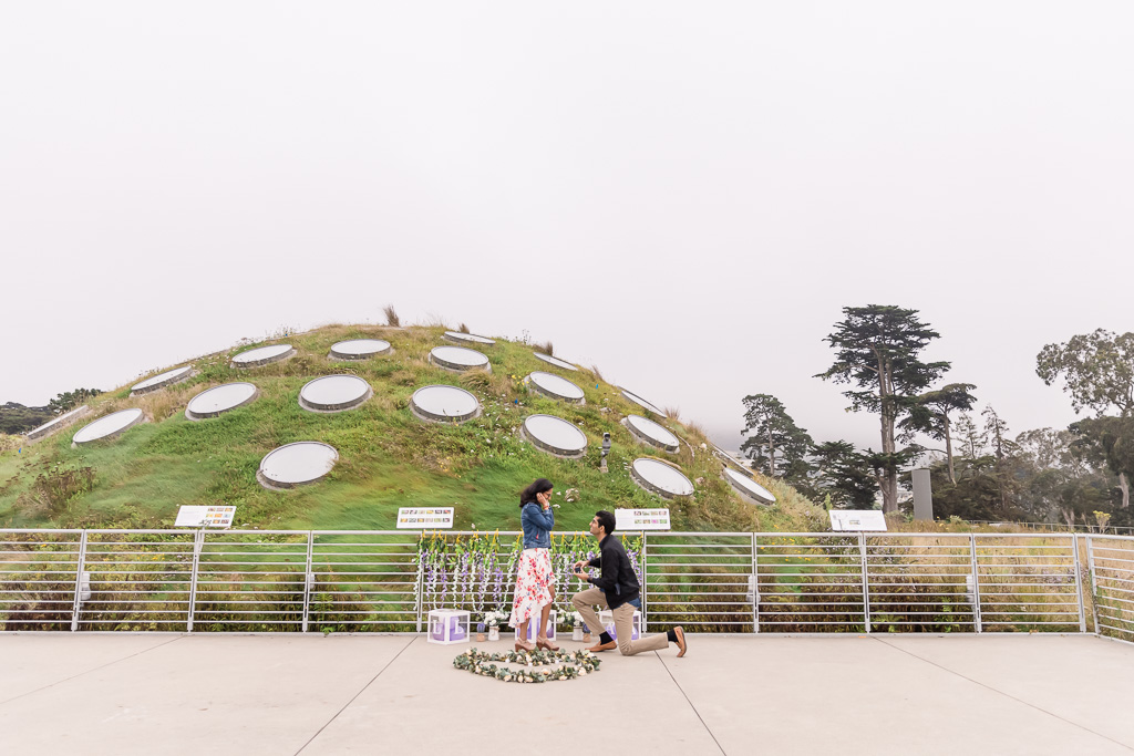 surprise proposal on the Living Roof of the California Academy of Sciences