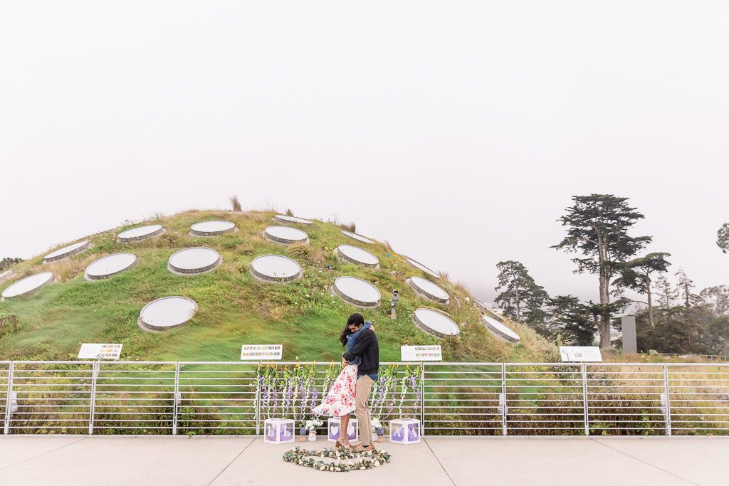 Cal Academy Living Roof