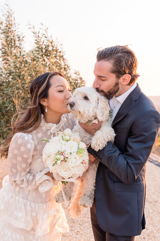 Sonoma wedding photos with dog