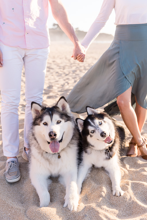 adorable family photo with a husky and a malamute