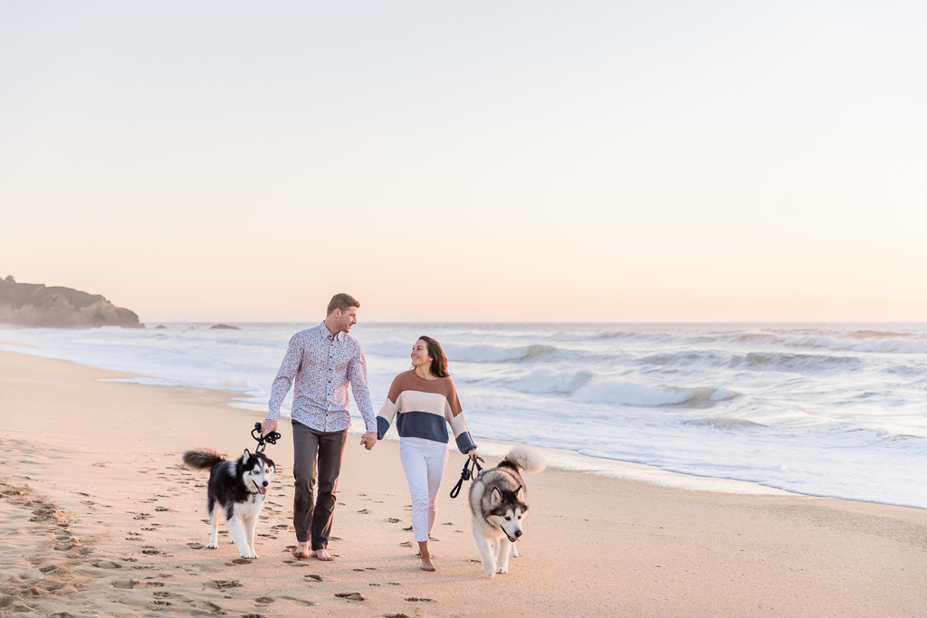 San Francisco family holiday photos with dogs on the beach