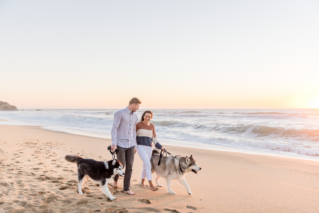 candid family photos on a beach with two giant dogs