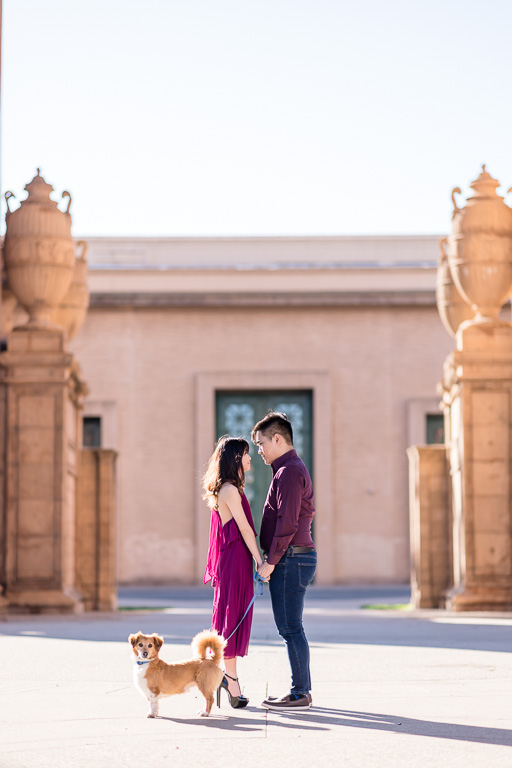 Palace of Fine Arts engagement photos with a dog