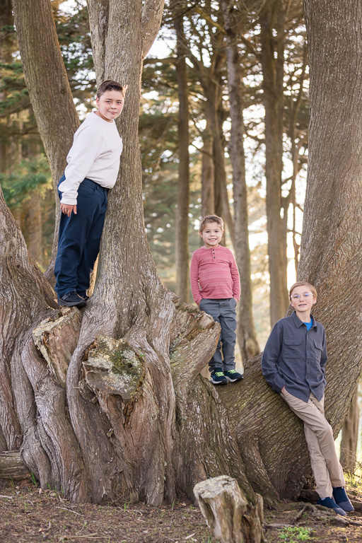 three boys in a tree