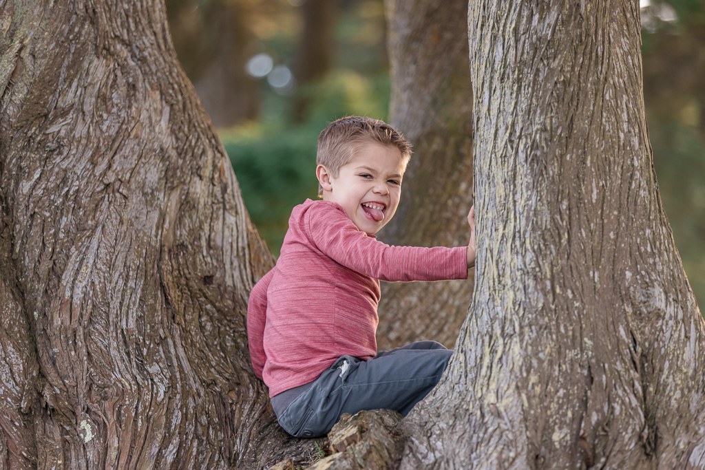 photo of small child climbing a tree