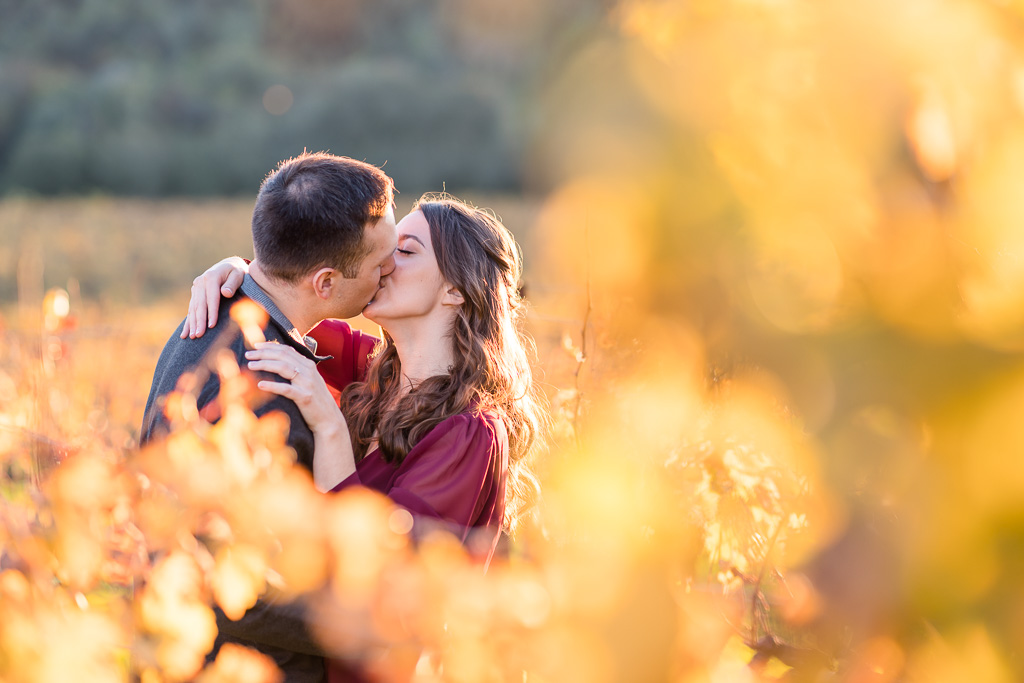 kissing engagement photo in vineyards