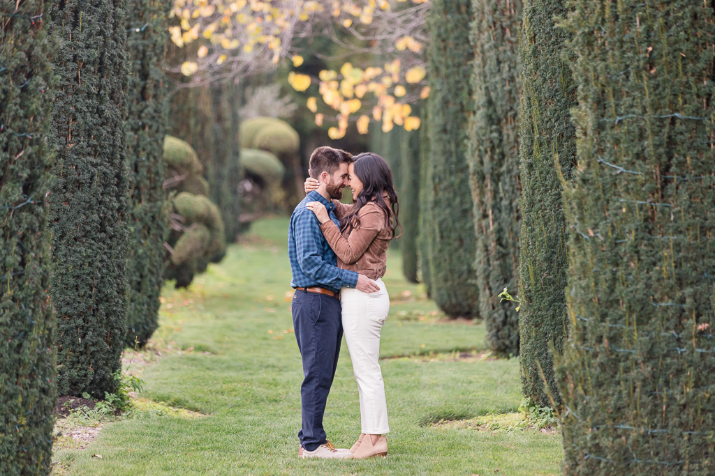 Filoli Gardens engagement photos in the rows of trees