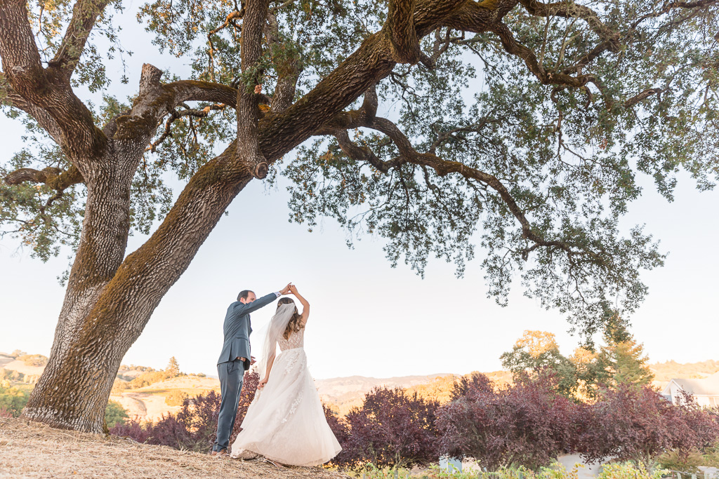 The Highlands Estate grand oak tree wedding pic