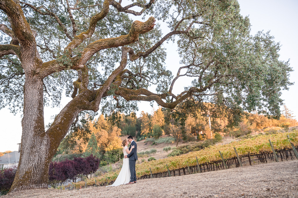 wedding photo at giant oak tree at The Highlands Estate