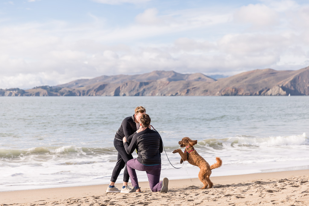 San Francisco same-sex surprise engagement proposal with their cute dog at the beach
