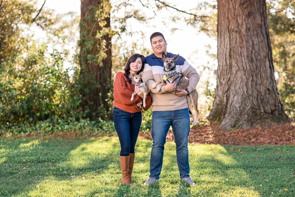 engagement photos with two dogs
