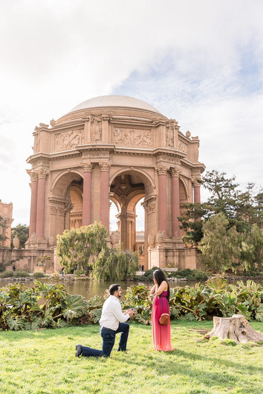 Palace of Fine Arts surprise marriage proposal