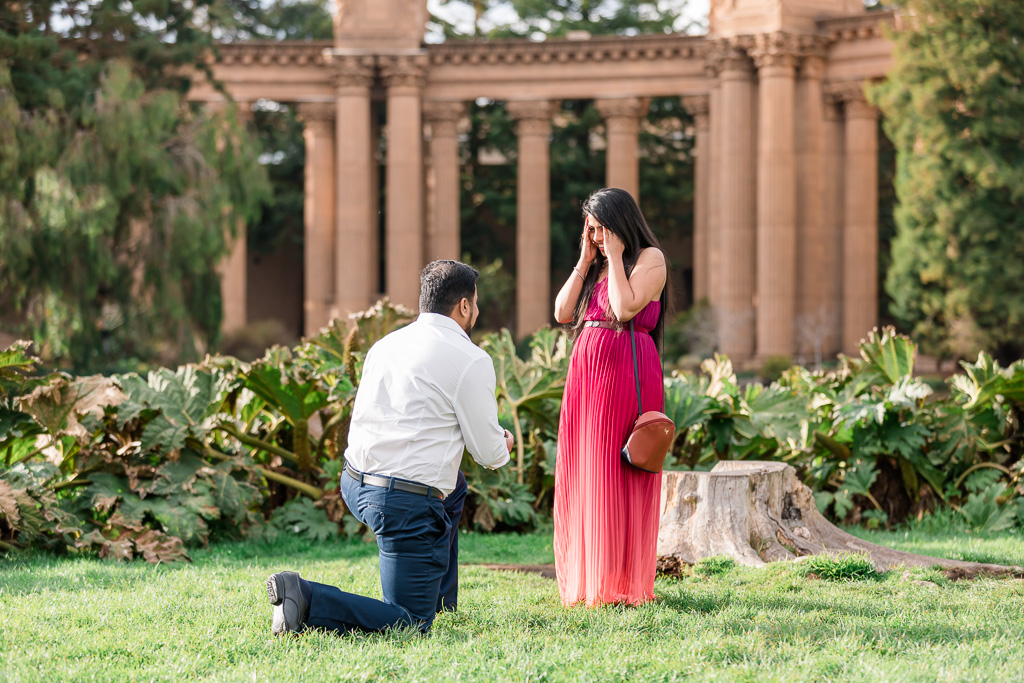 surprise marriage proposal at Palace of the Fine Arts