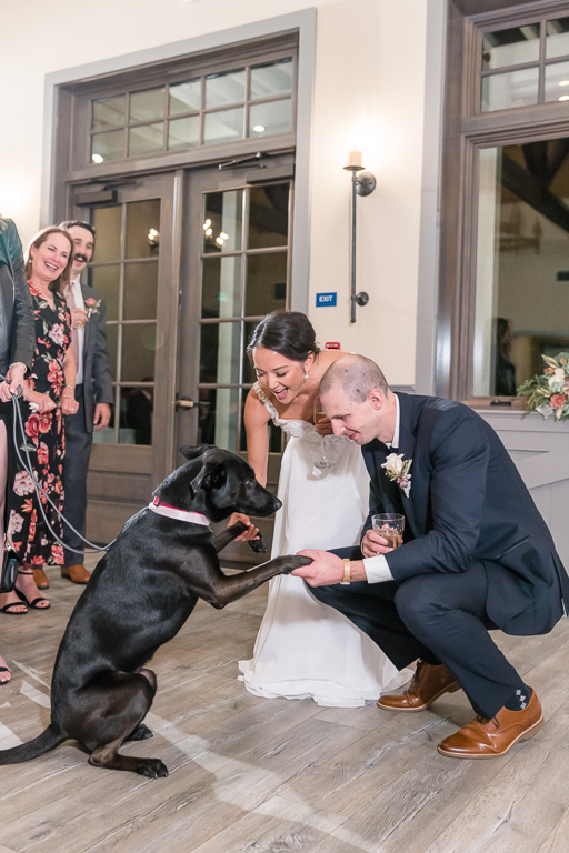 bride and groom playing with their dog at wedding reception