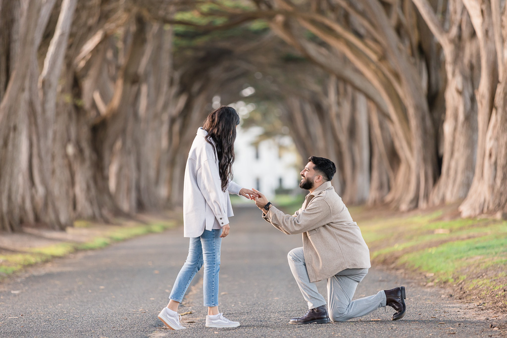Cypress Tree Tunnel surprise proposal in Point Reyes