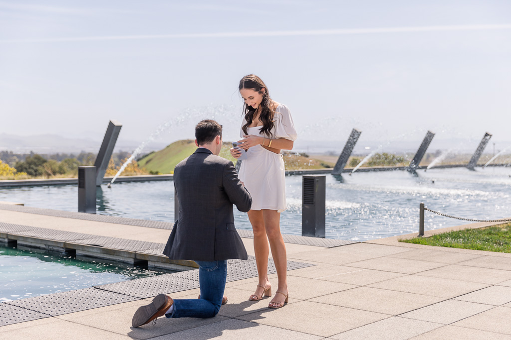 Artesa surprise proposal with foundaitns in background