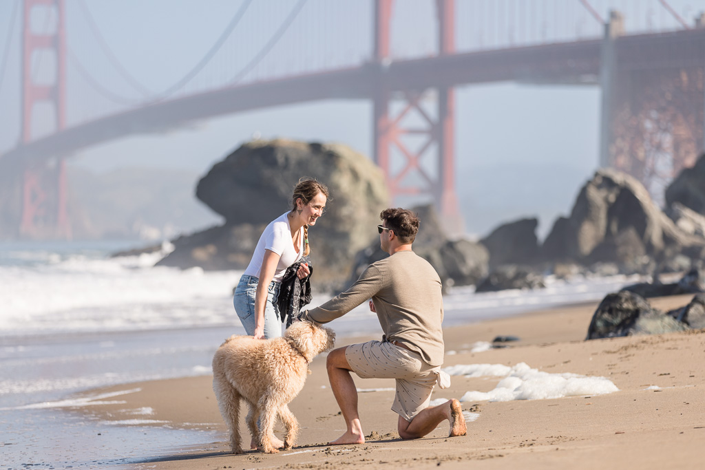 Marshalls Beach surprise proposal with dog