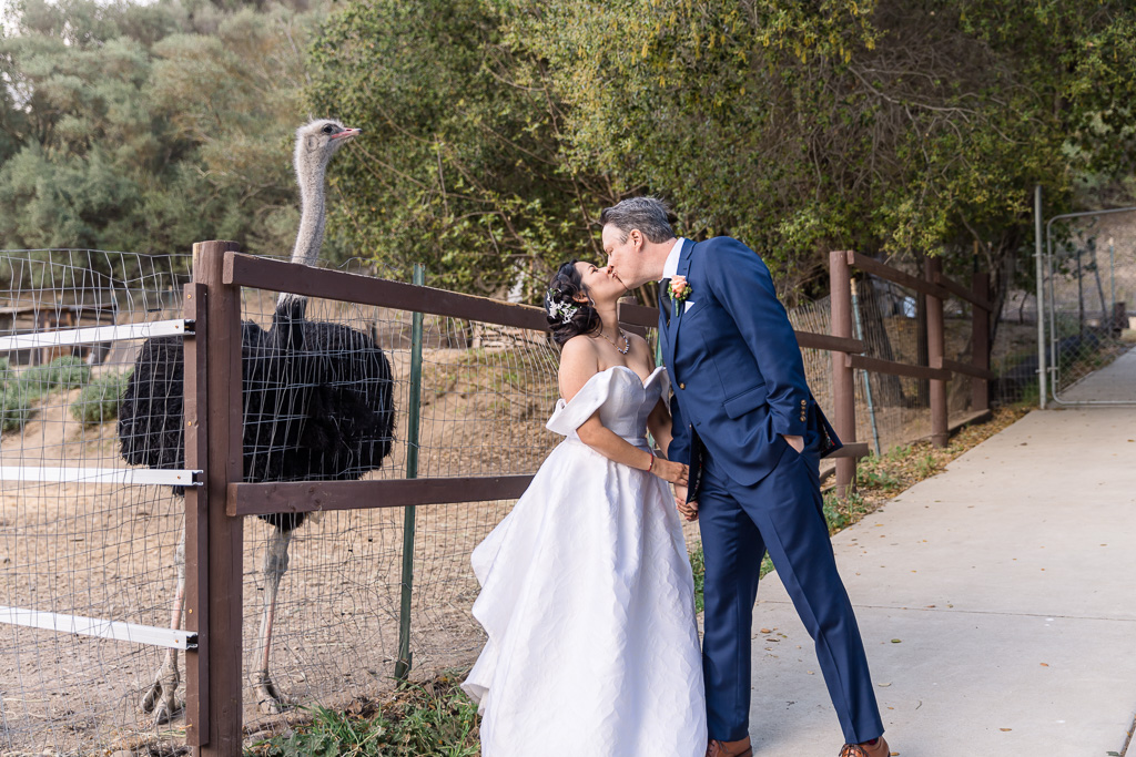 wedding photo with the ostrich at Elliston