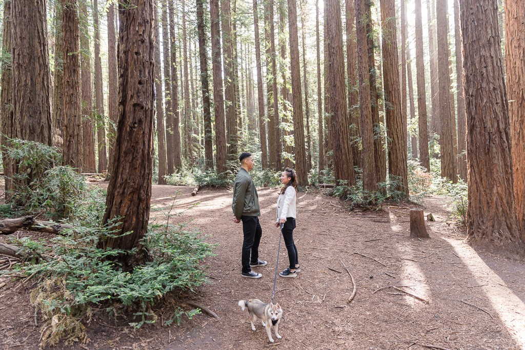 Couple with dog in the redwoods