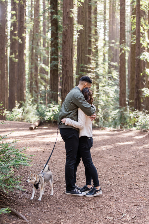 redwood trees engagement proposal