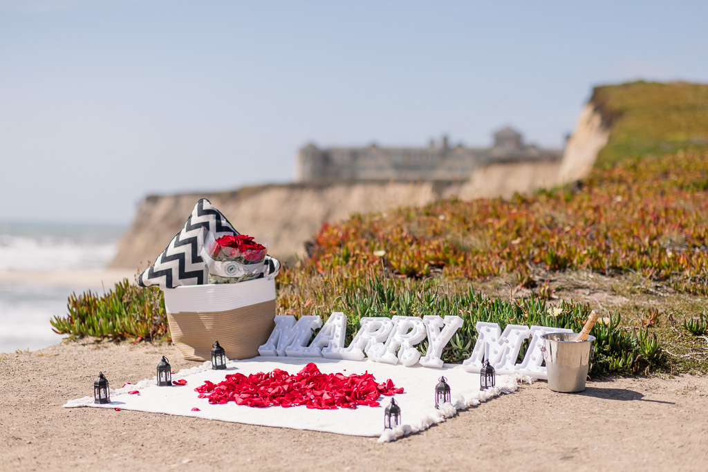 picnic surprise proposal setup with rose petals, champagne, ice bucket, marry me light-up letters, pillow, bouquet