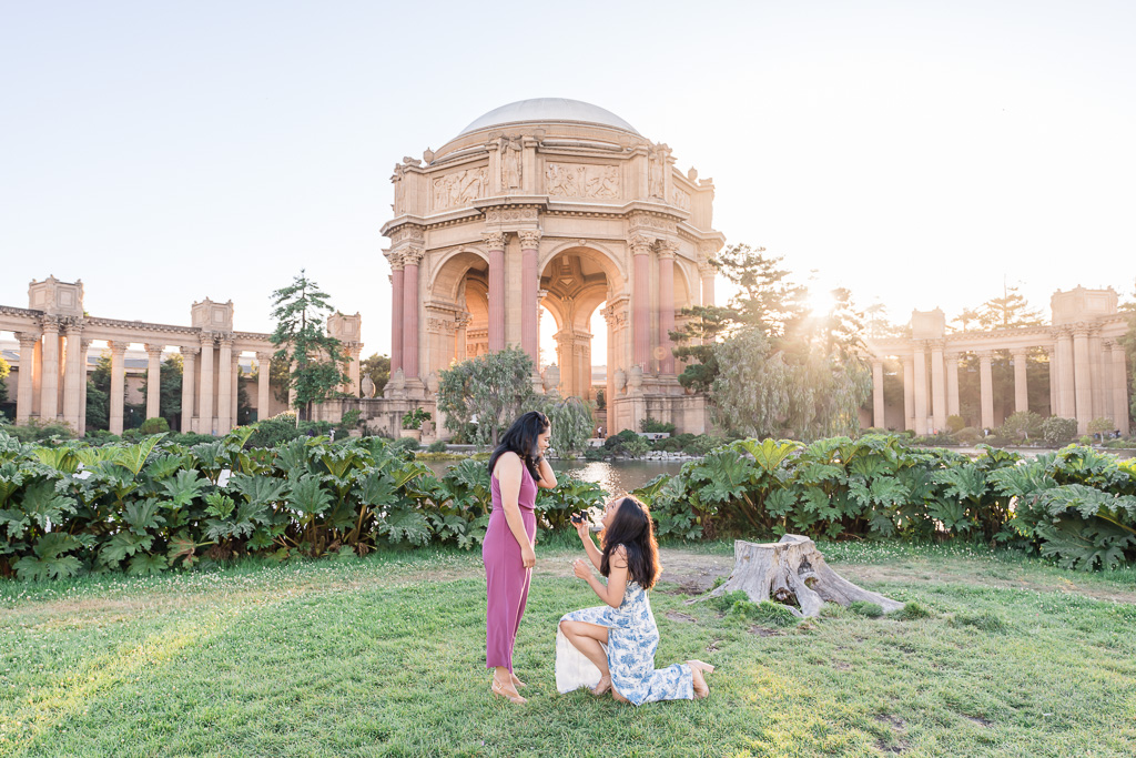 reverse surprise proposal at the Palace of Fine Arts