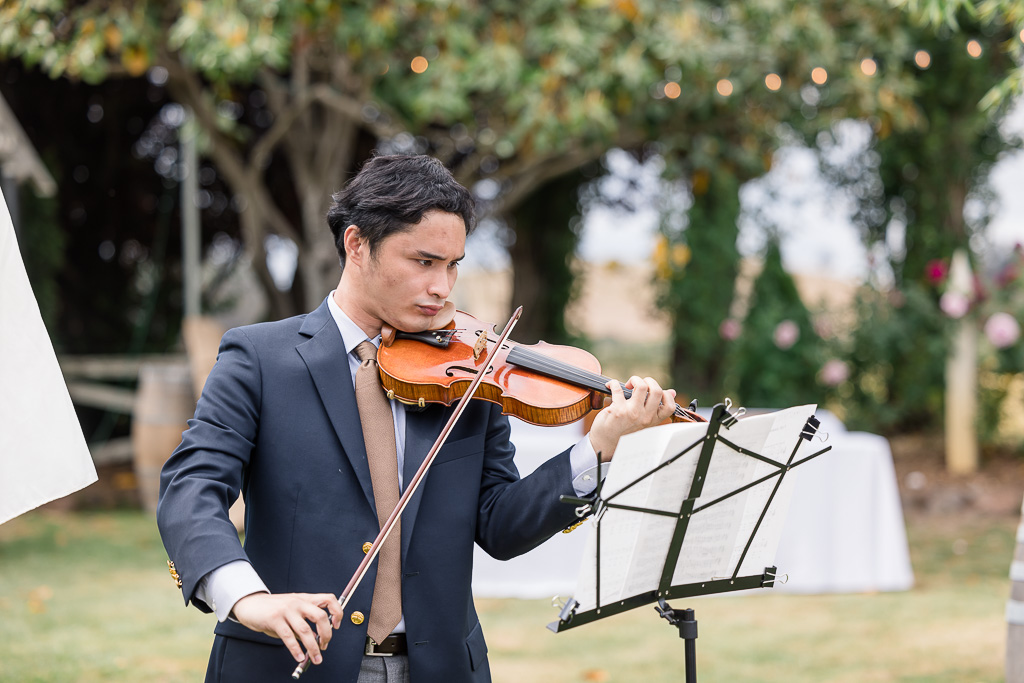 violin player at wedding