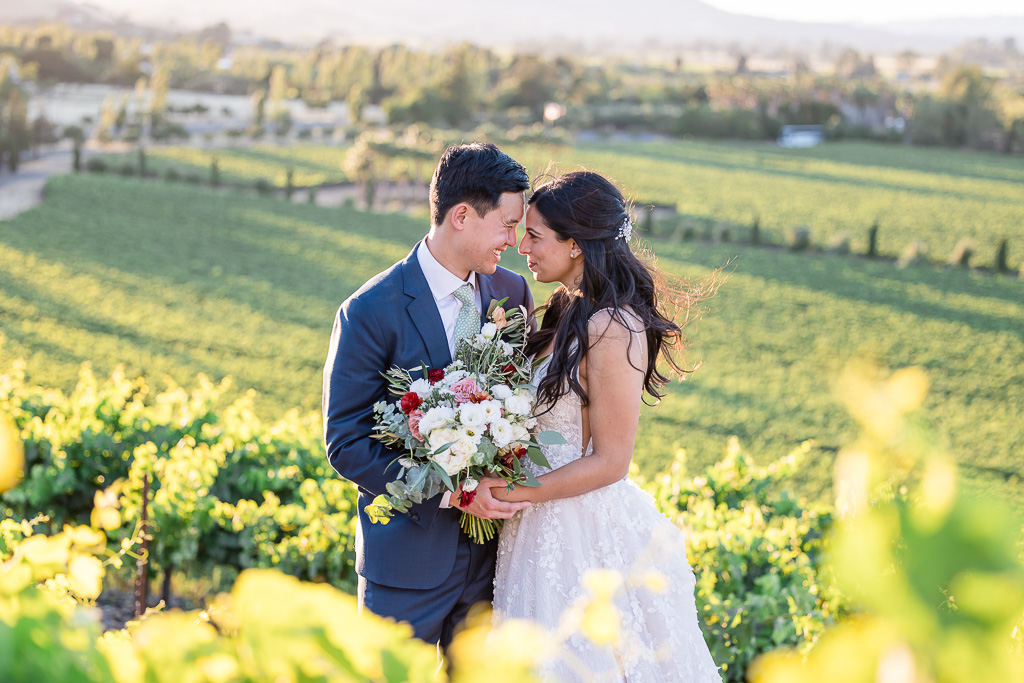 vineyard wedding photo at golden hour