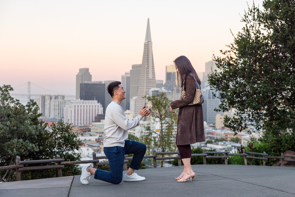 surprise proposal with cotton candy skies