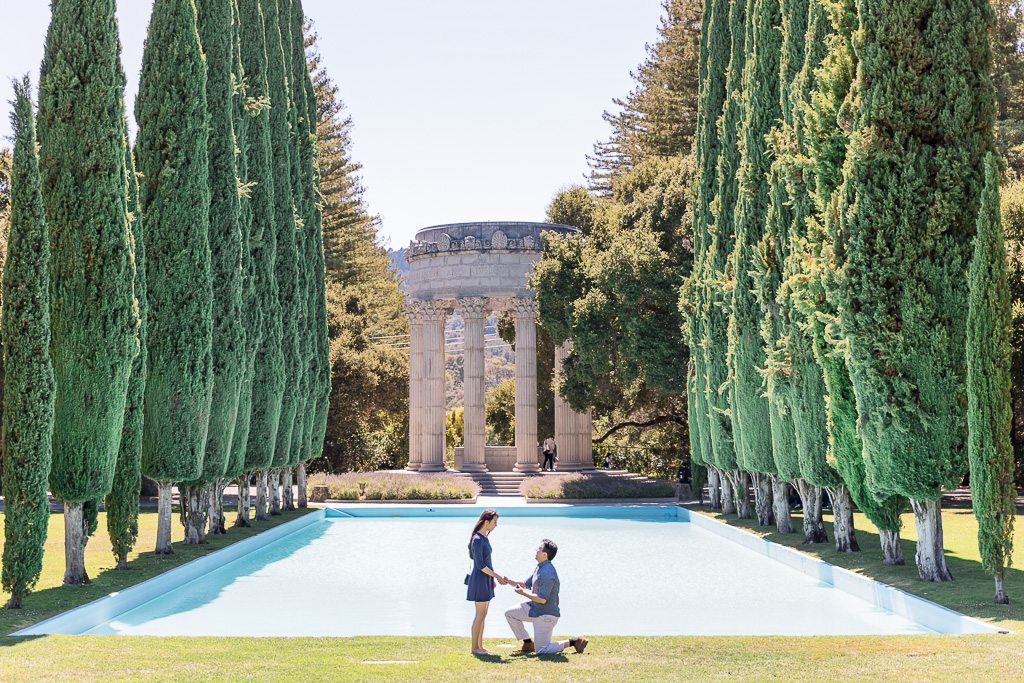 Pulgas Water Temple surprise proposal