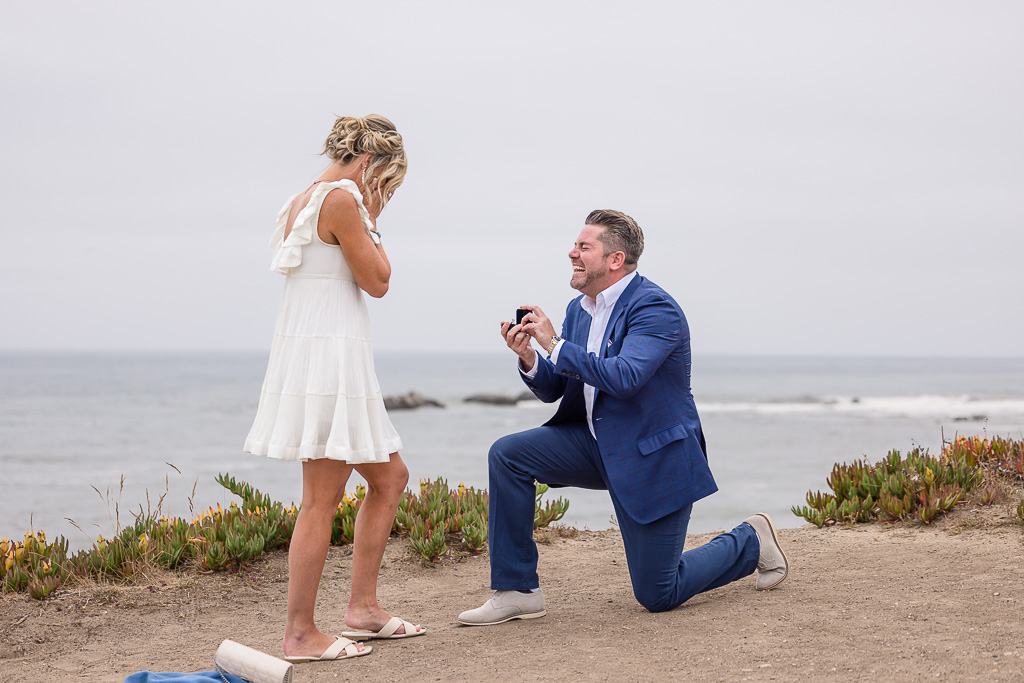 surprise proposal on the California coastline