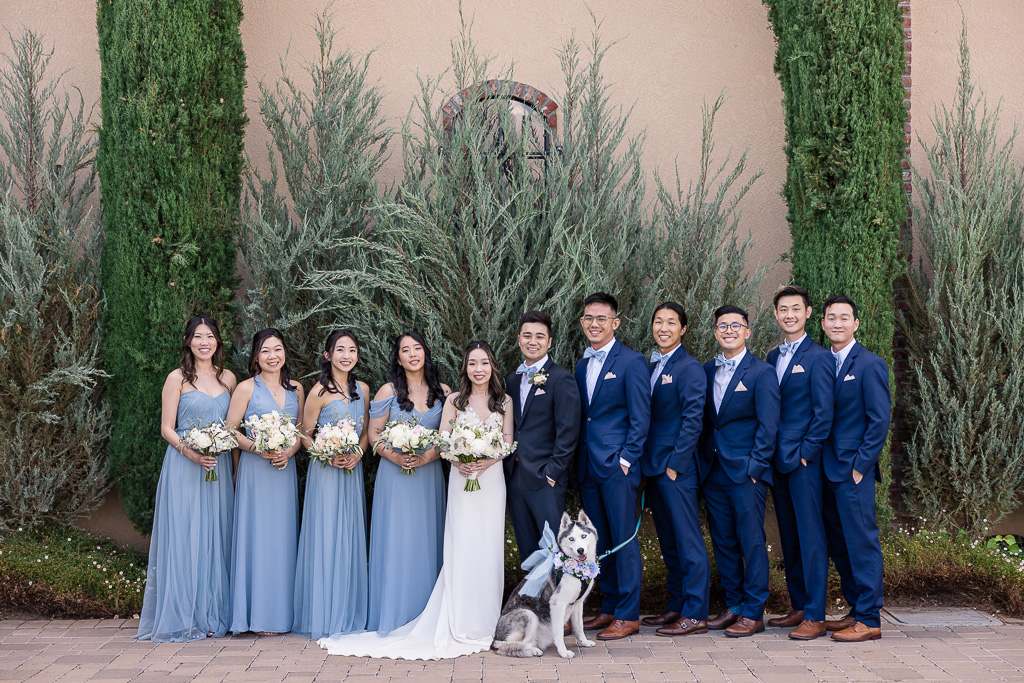bridal party in light blue bridesmaids dresses and navy blue suits