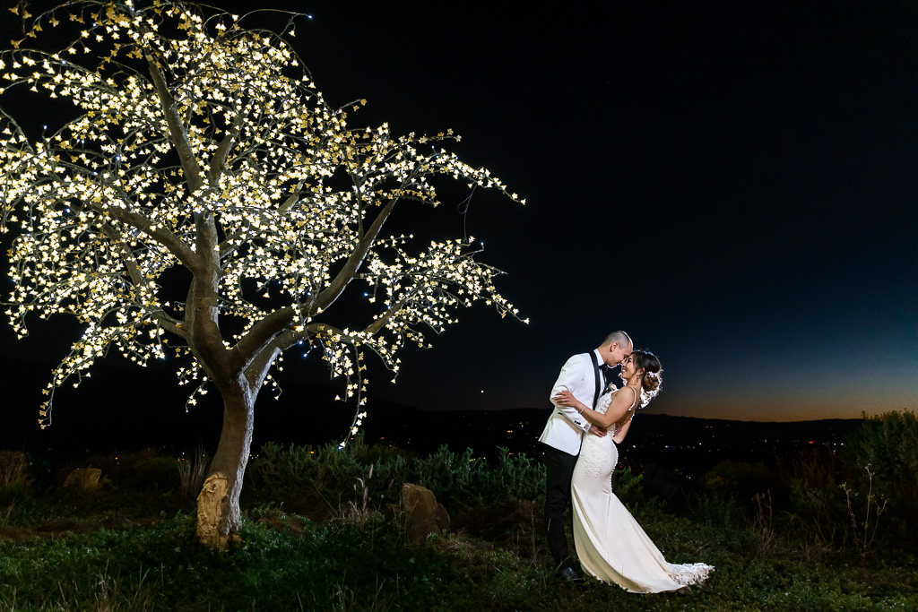 epic artistic night wedding photo with LED-lit tree at Boulder Ridge by Wedgewood Weddings