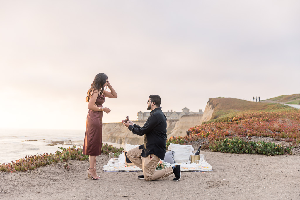 romantic sunset picnic surprise engagement