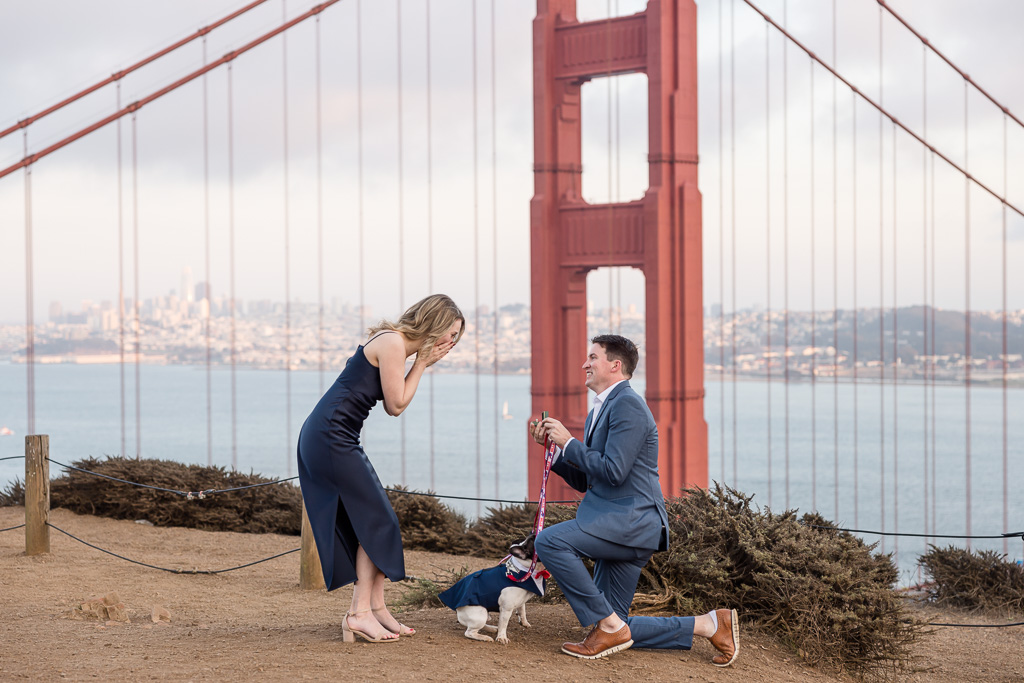 Golden Gate Bridge surprise proposal with Frenchie wearing tux