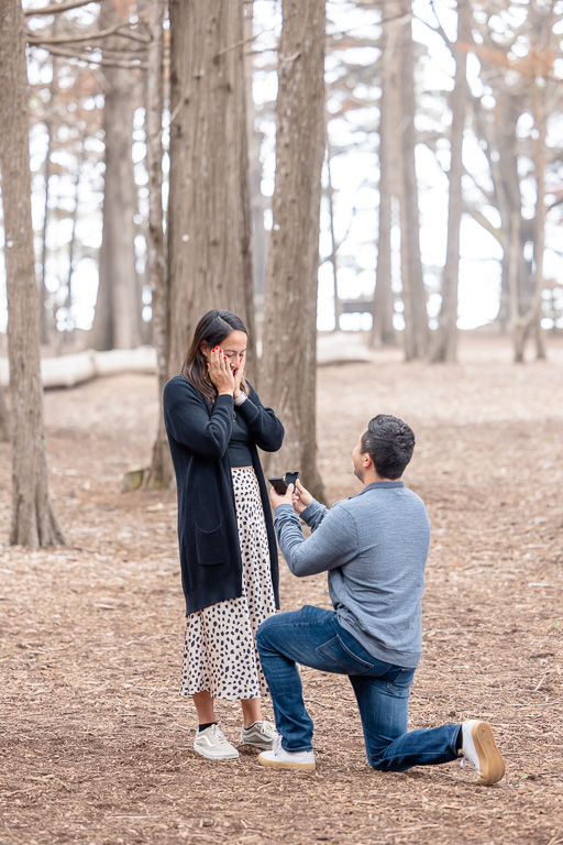 Seal Cove Cypress Tree Tunnel proposal photography