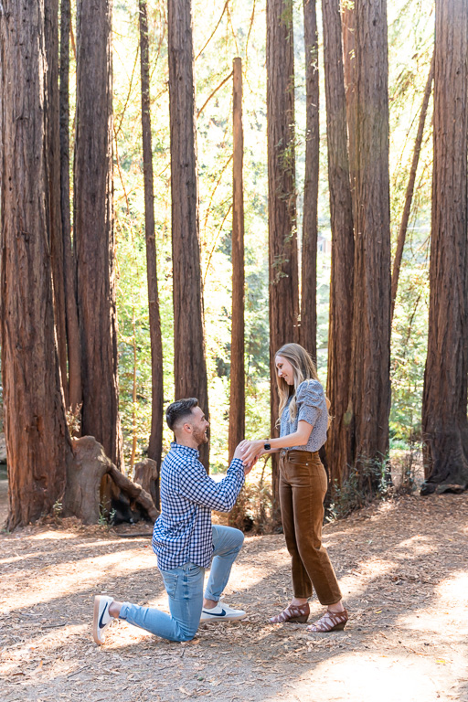 surprise engagement in redwood tree forest