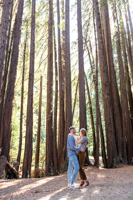Marin redwood tree forest bright engagement photos