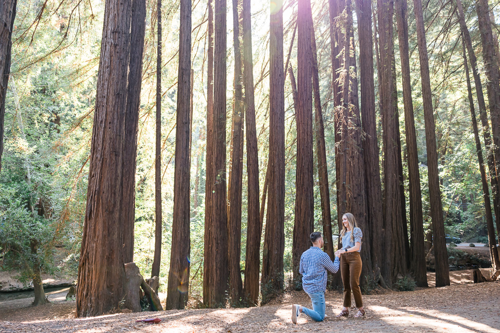 Marin redwood trees surprise engagement
