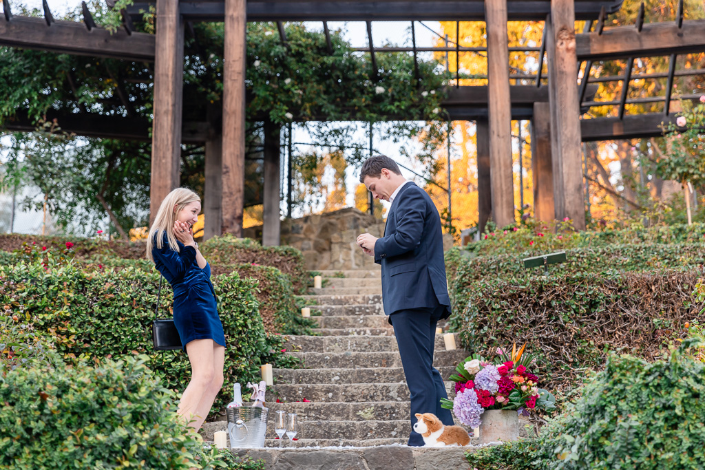 Berkeley Rose Garden suprise proposal
