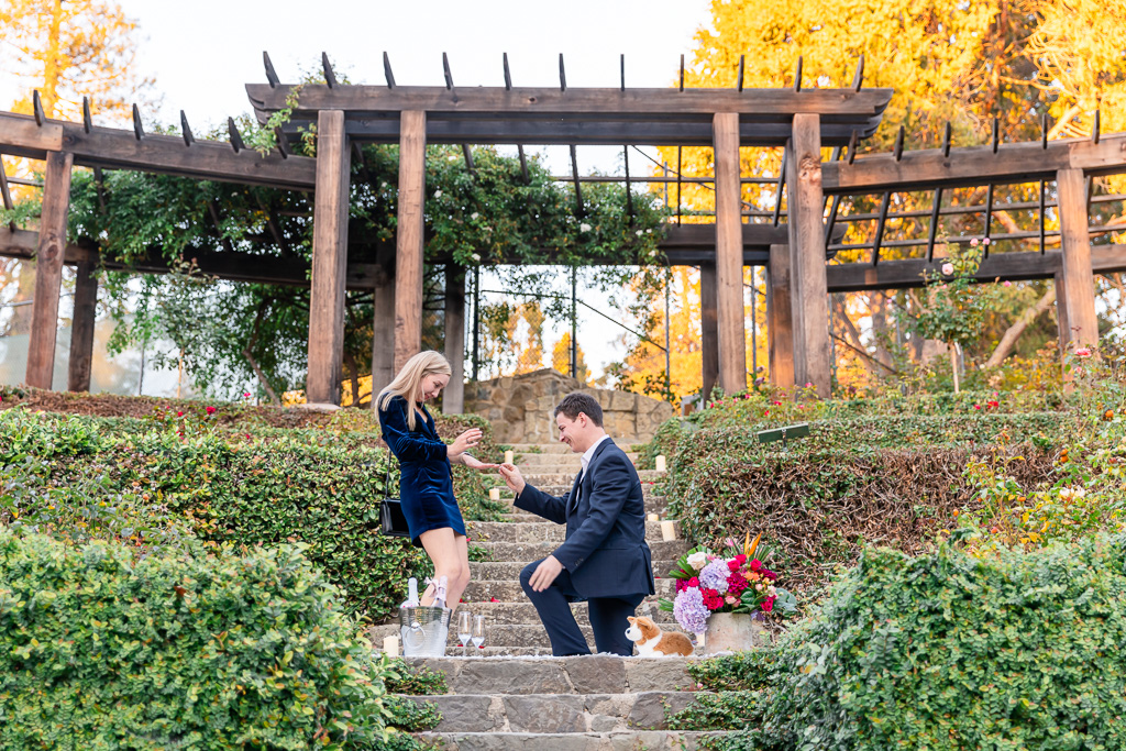 Berkeley Rose Garden surprise engagement proposal
