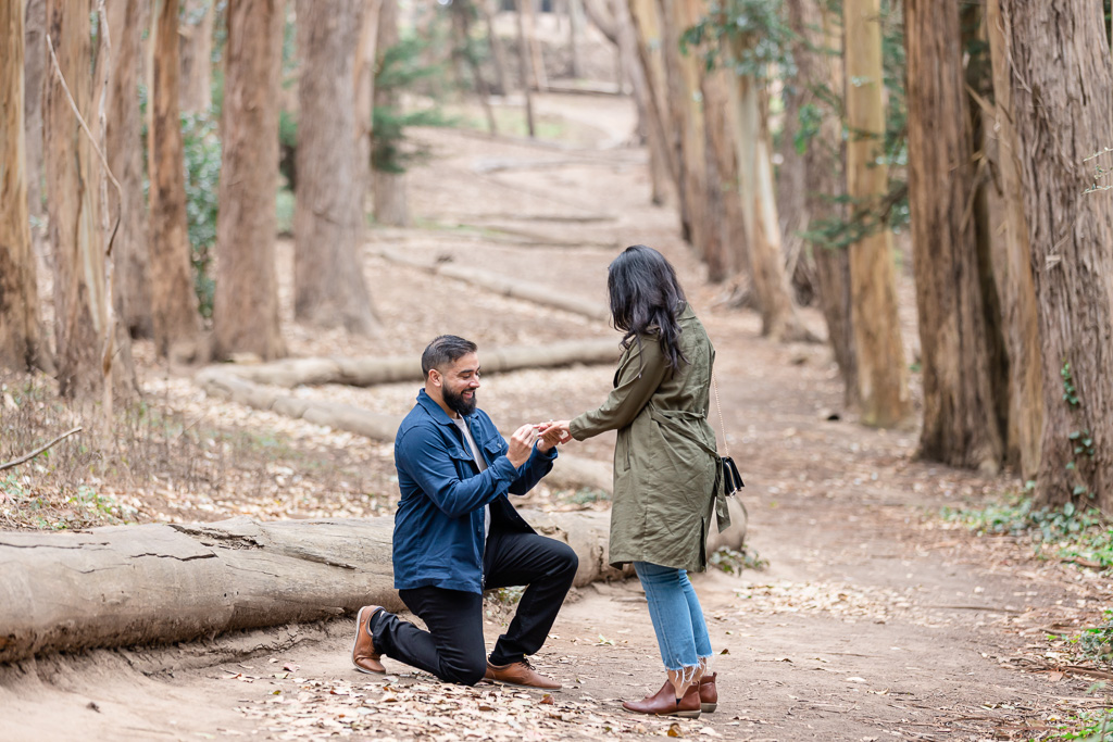 Lovers Lane engagement proposal